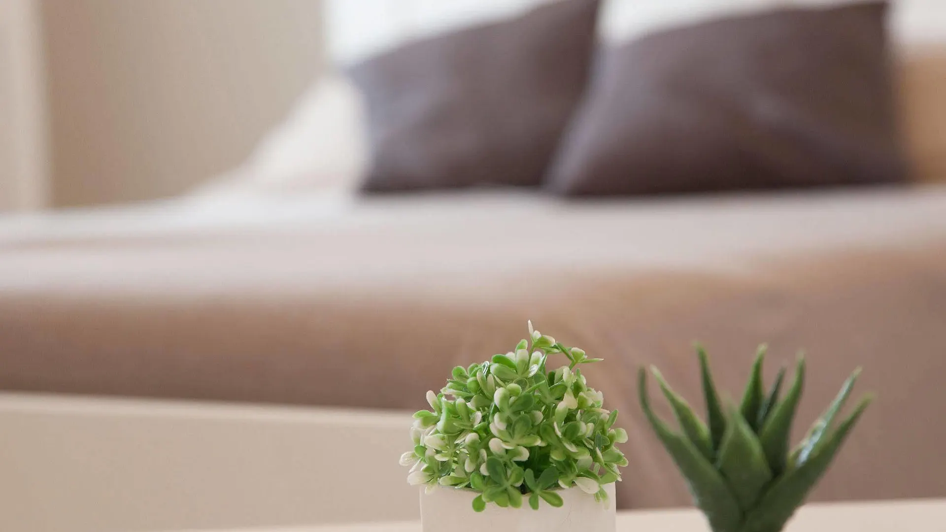 Bianco Sale Trapani Bed & Breakfast Rilievo